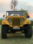 Jeep CJ-5 Gelb - thumbnail 7