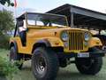 Jeep CJ-5 Gelb - thumbnail 9