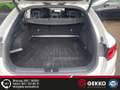 Kia ProCeed / pro_cee'd GT +APP+LED+KAMERA+ACC+NAVI+SZH+Kessy+JBL Fehér - thumbnail 12