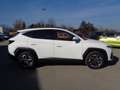 Hyundai TUCSON Tucson 1,6 T-GDI HEV 2WD Go Plus Aut. Weiß - thumbnail 6