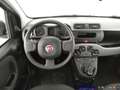 Fiat Panda 1.0 FireFly S&S Hybrid siva - thumbnail 14
