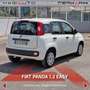 Fiat Panda Panda 1.2 Easy Blanc - thumbnail 17