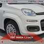Fiat Panda Panda 1.2 Easy Bianco - thumbnail 6