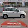 Fiat Panda Panda 1.2 Easy Bianco - thumbnail 4