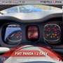 Fiat Panda Panda 1.2 Easy Bianco - thumbnail 13
