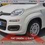 Fiat Panda Panda 1.2 Easy Bianco - thumbnail 7