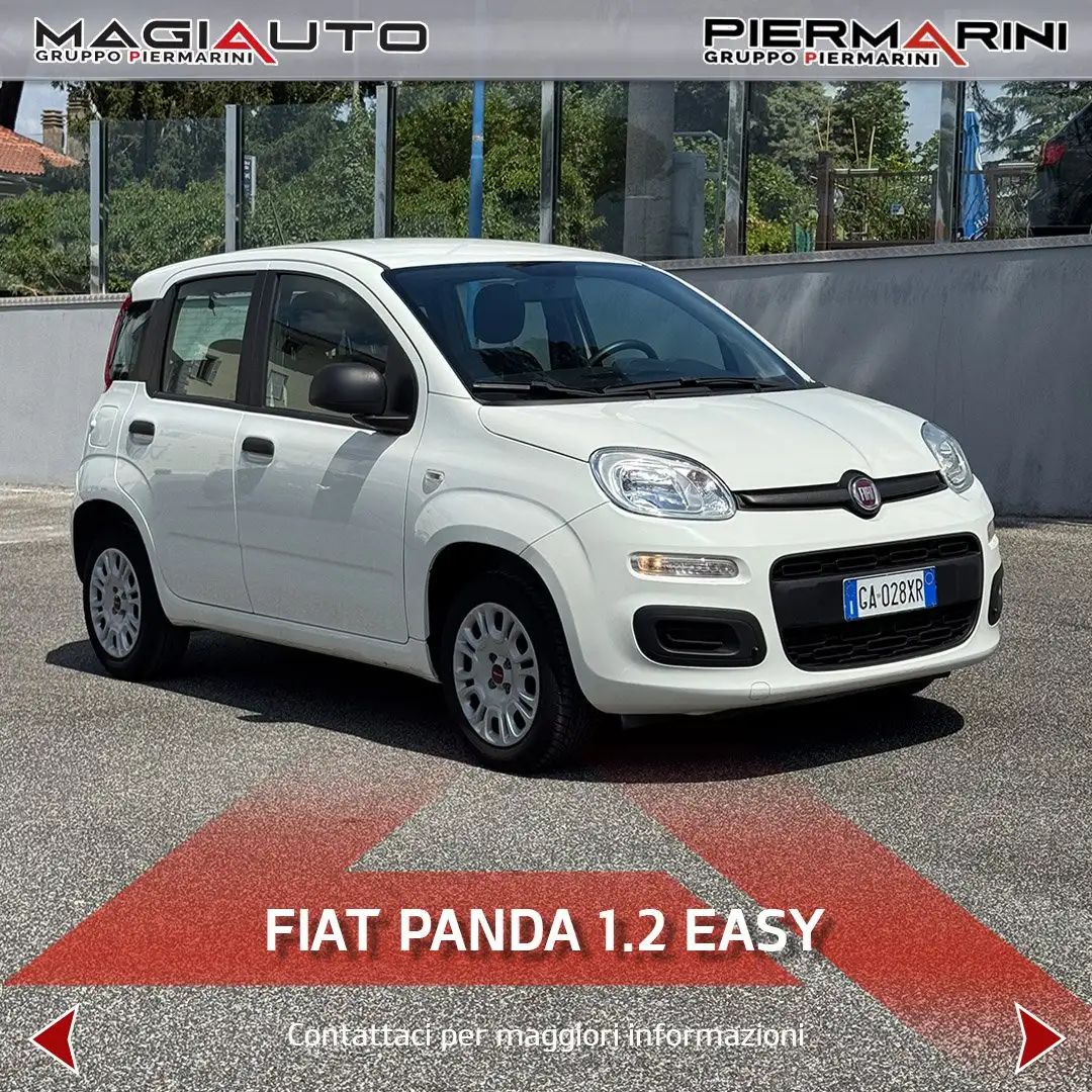 Fiat Panda Panda 1.2 Easy Bianco - 1