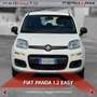 Fiat Panda Panda 1.2 Easy Bianco - thumbnail 2