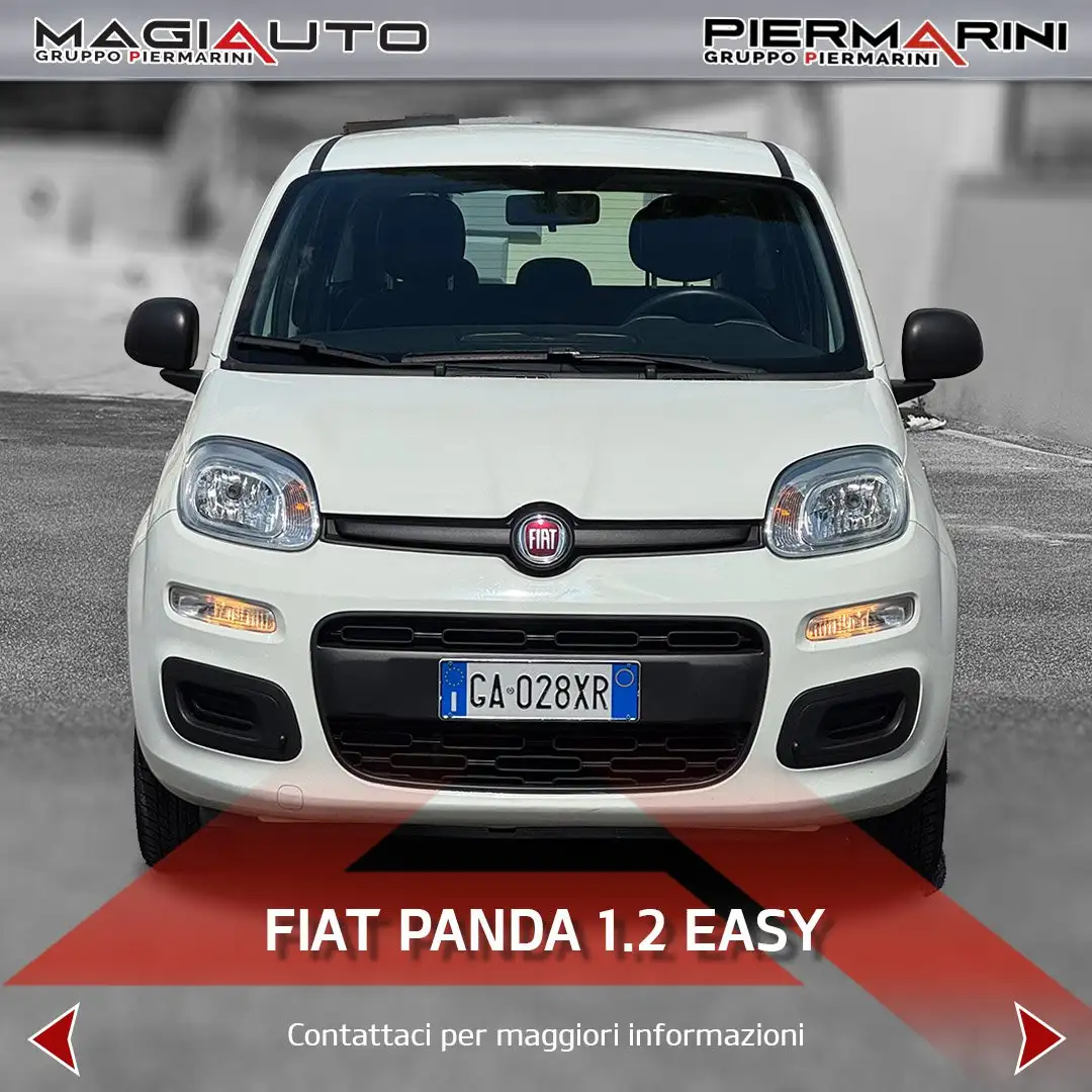 Fiat Panda Panda 1.2 Easy Bianco - 2