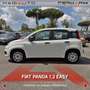 Fiat Panda Panda 1.2 Easy Bianco - thumbnail 5