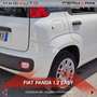 Fiat Panda Panda 1.2 Easy Blanc - thumbnail 16
