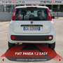 Fiat Panda Panda 1.2 Easy Blanc - thumbnail 18