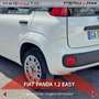 Fiat Panda Panda 1.2 Easy Bianco - thumbnail 15