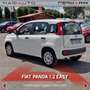 Fiat Panda Panda 1.2 Easy Blanc - thumbnail 19