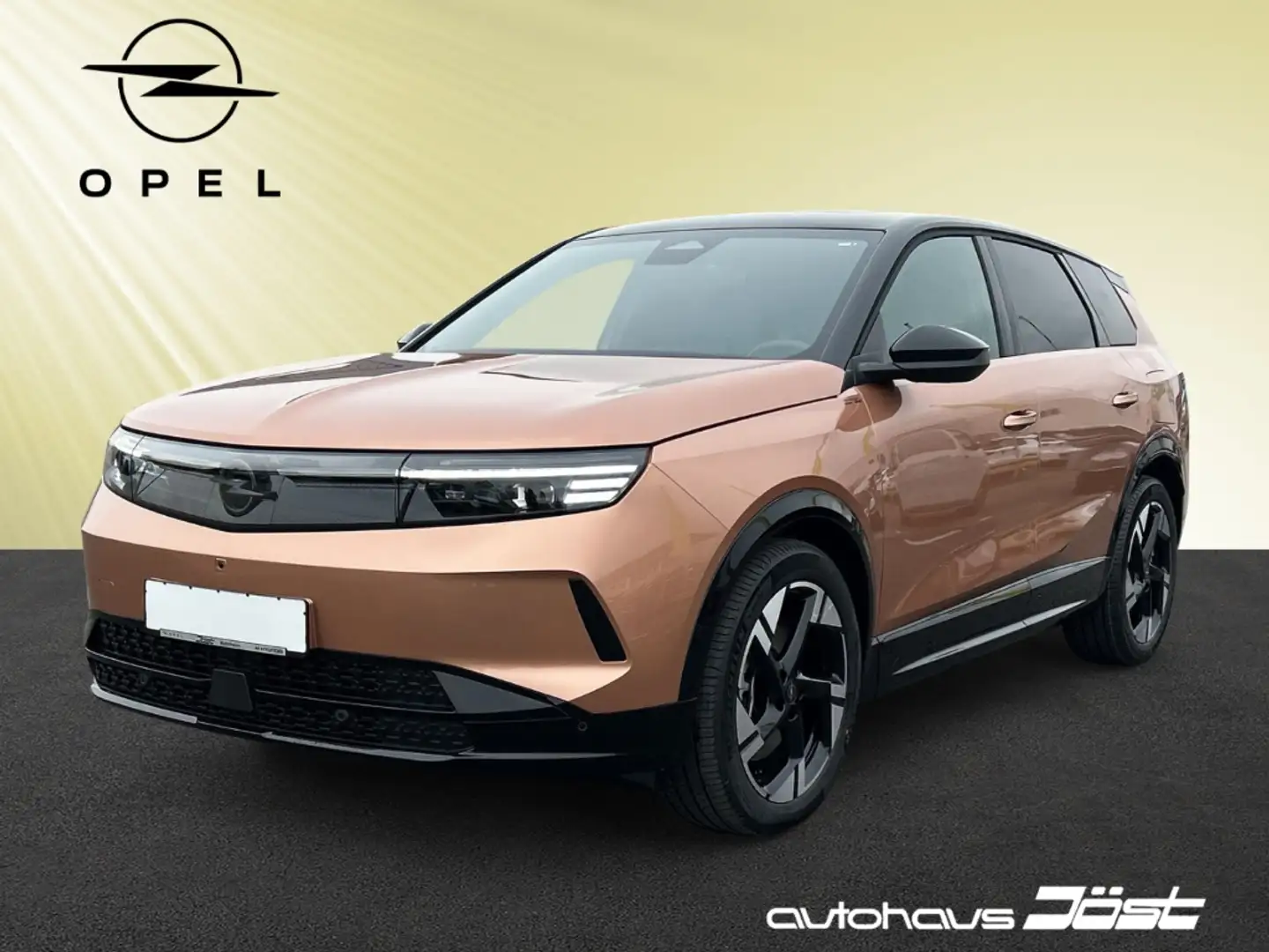 Opel Grandland GS Electric 157 kW -Panorama-Dach Goud - 1