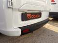 Ford Transit Custom 2.0 170 cv automatic FULL OPTIONAL 2019 L2H1 Bianco - thumbnail 5