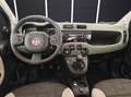 Fiat Panda Panda 0.9 t.air turbo 4x4 85cv Verde - thumbnail 15