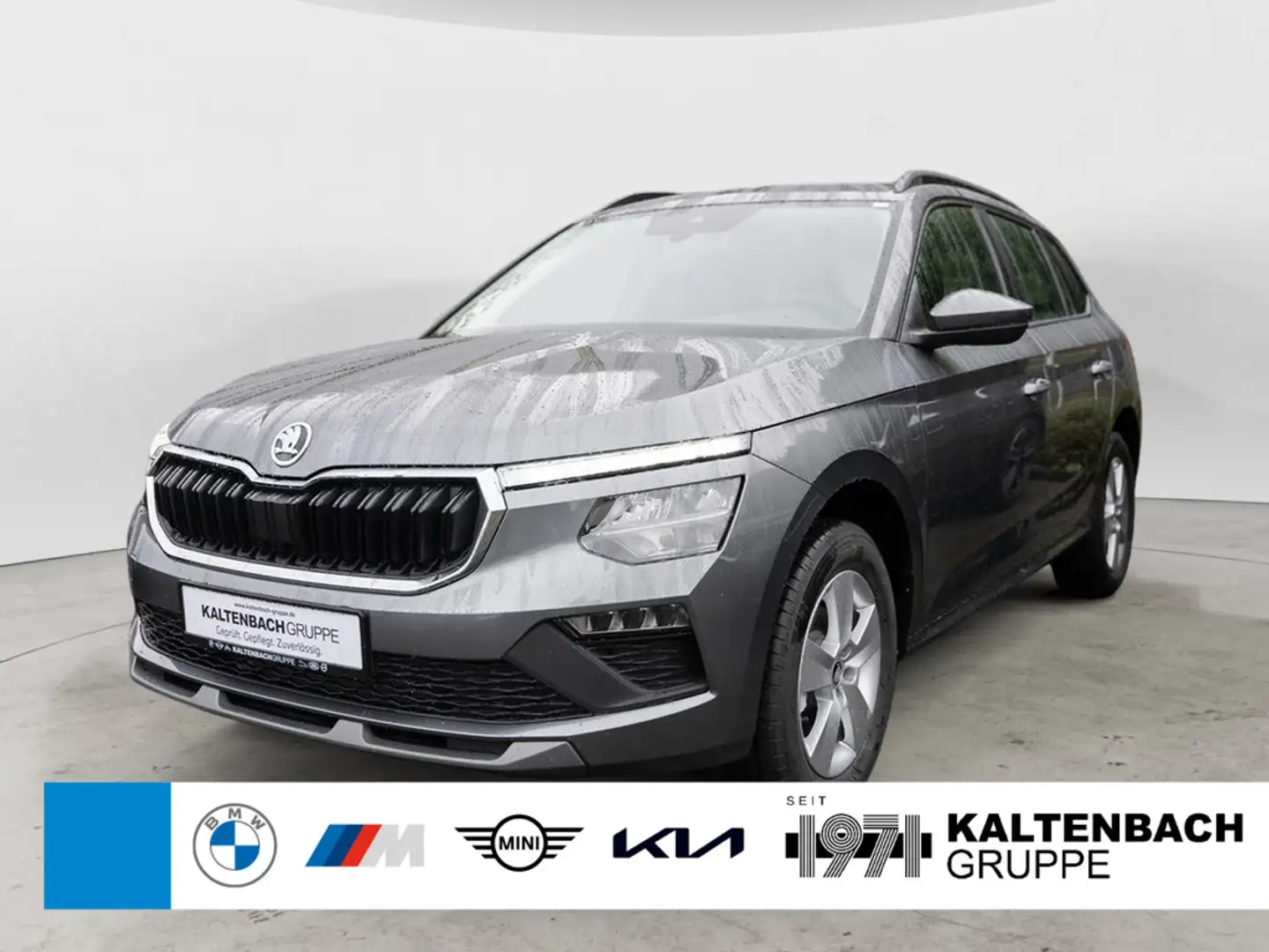 Skoda Kamiq 1.0 TSI Selection AHK LED ALUFELGEN PDC - 1