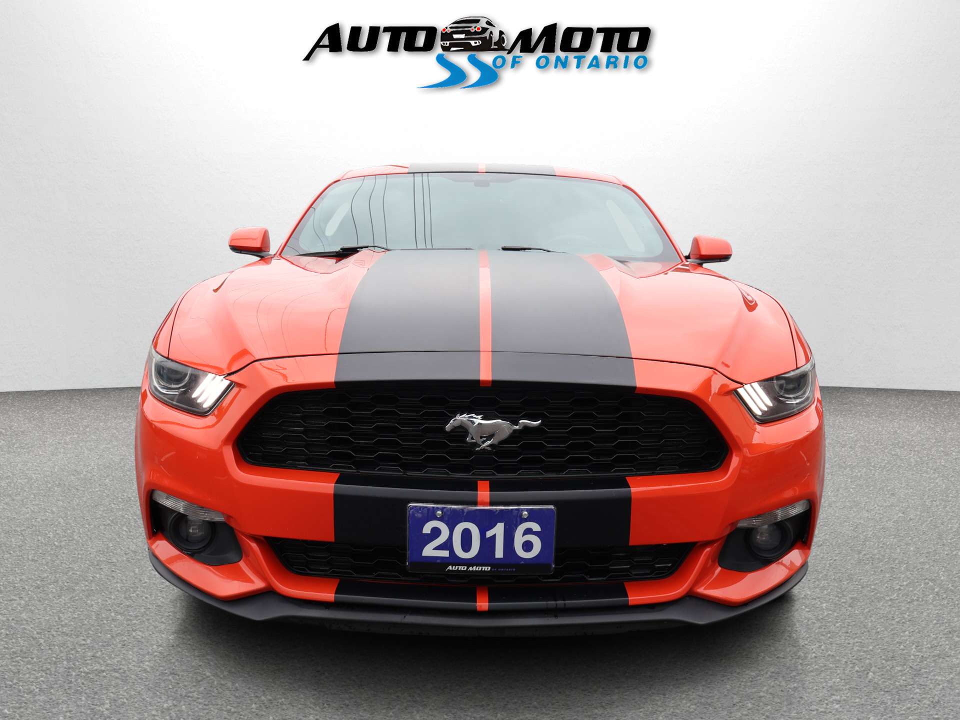 2016 Ford Mustang ECOBOOST *ACCIDENT FREE* CAMERA BLUETOOTH LEATHER — снимка 1