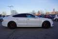 Audi A7 Sportback 3.0 TDI Competition HUD Matrix Navi Weiß - thumbnail 5