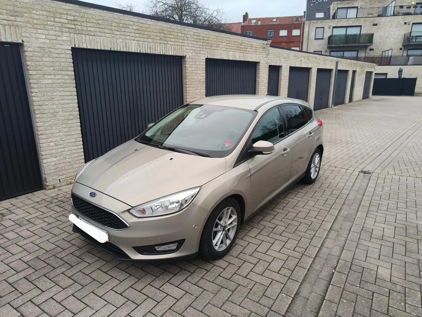 Ford Focus Focus EcoBoost Business Edition Beige - 2