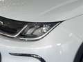 BYD Dolphin Comfort Leder Navi Voll Bianco - thumbnail 6