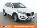 Hyundai TUCSON 1.7 CRDi Edition 25 2WD Weiß - thumbnail 8