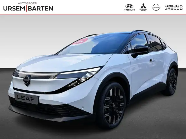 Nissan Leaf 75 kwh Evolve A/T 2 tone lak pearl white & zwart d