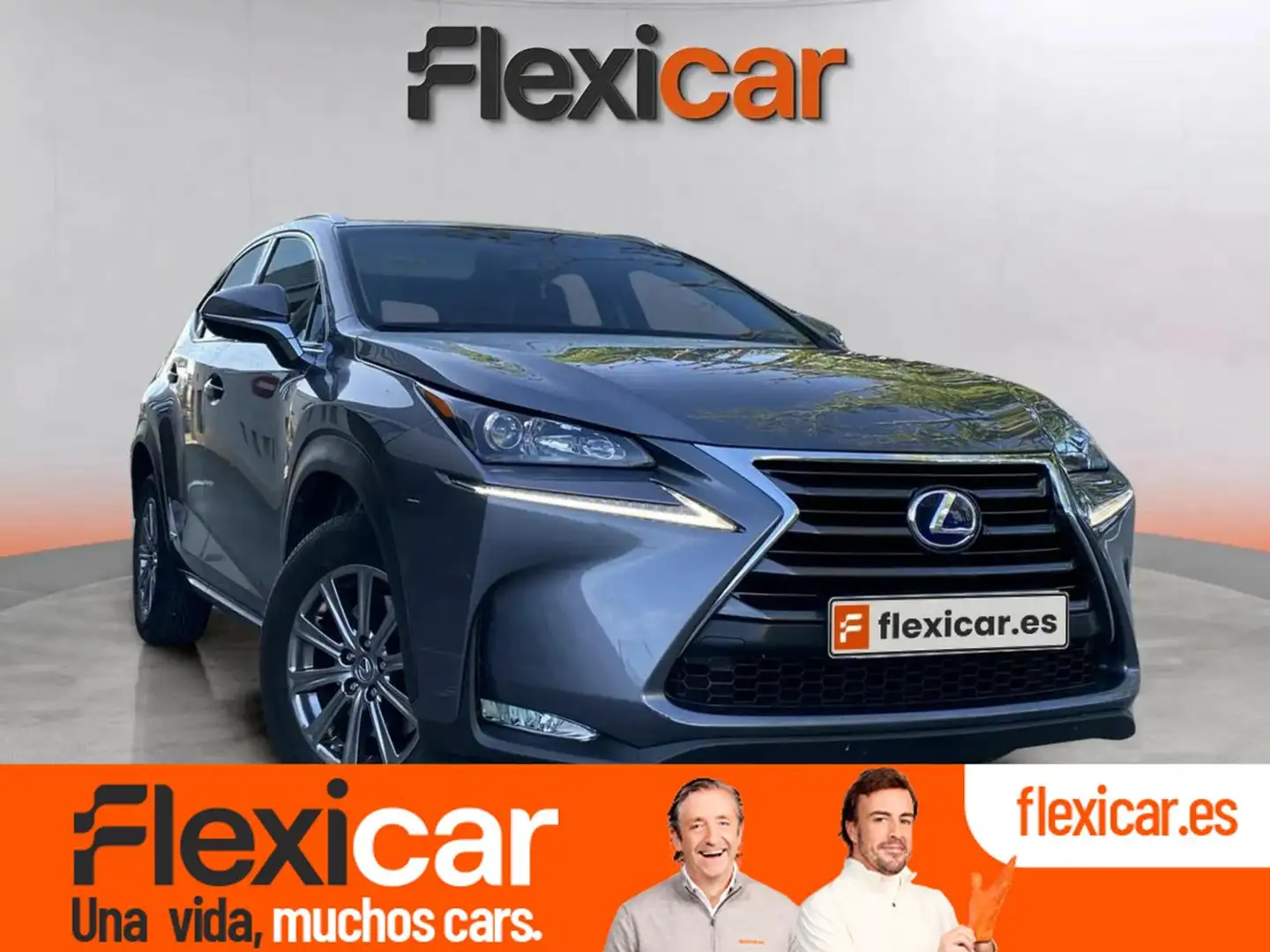 Lexus NX 300h 2.5 Business 2WD Gris - 1