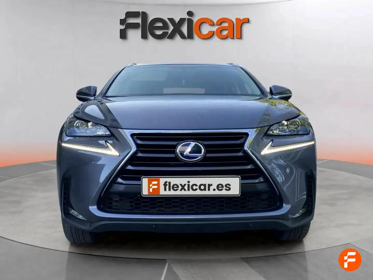 Lexus NX 300h 2.5 Business 2WD Gris - 2