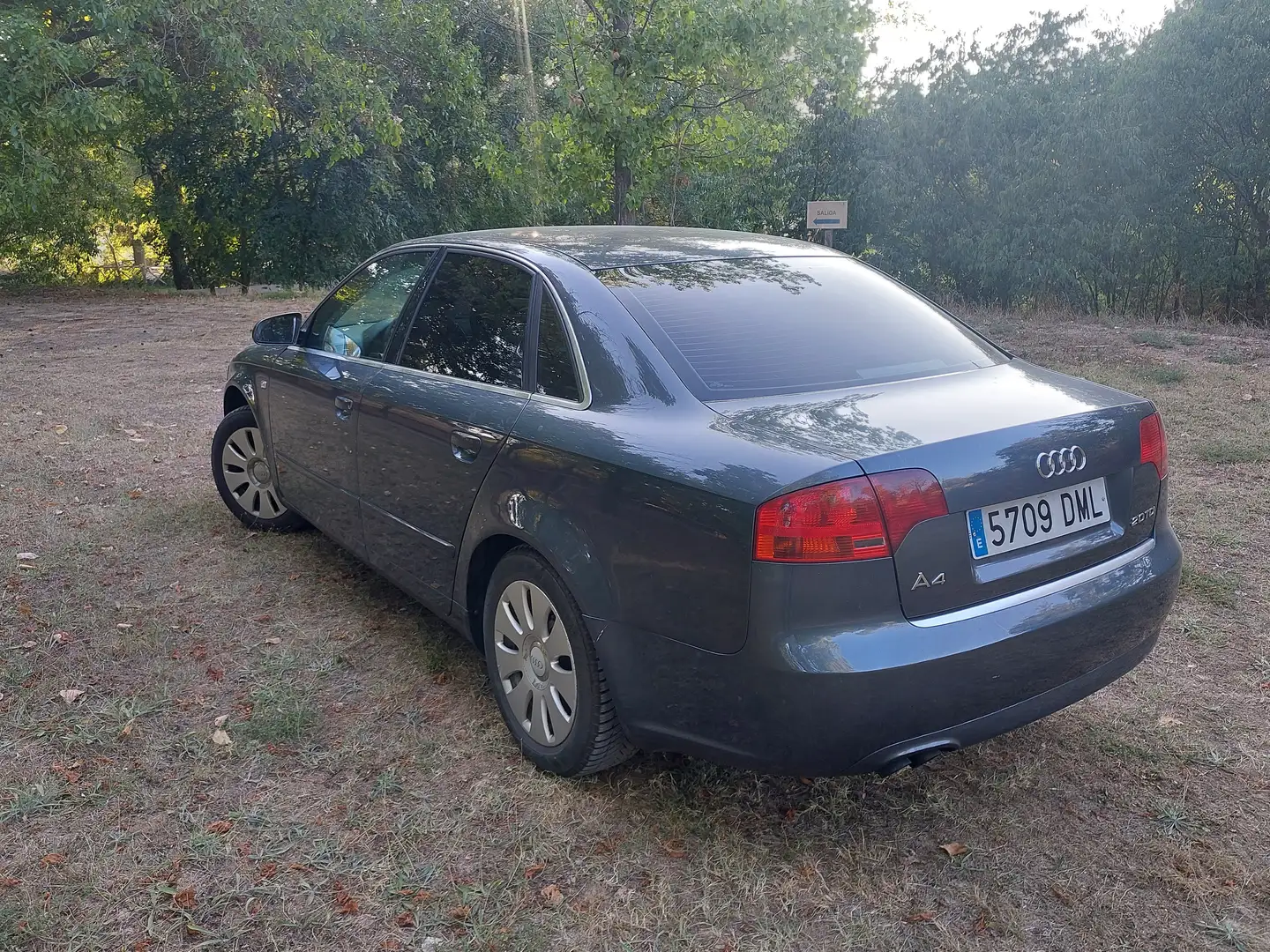 Audi A4 A4 2.0TDI Multitronic DPF Gris - 1