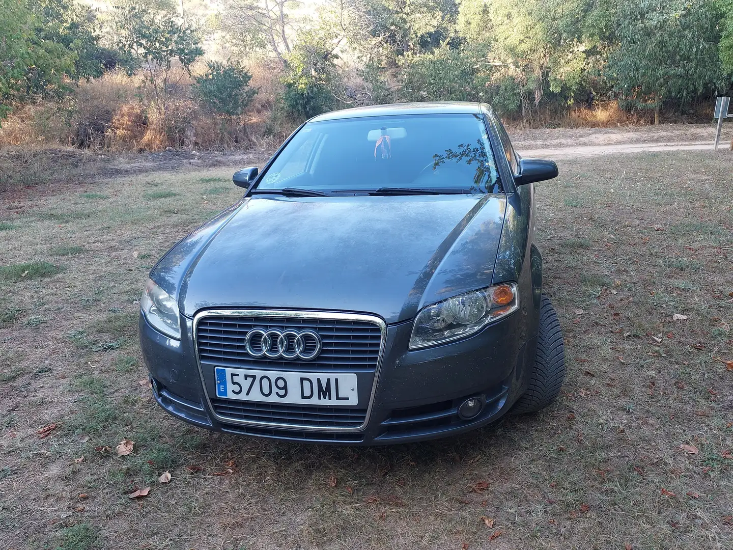 Audi A4 A4 2.0TDI Multitronic DPF Gris - 2