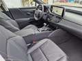 Lexus ES 300 h Luxury Line HeadUp Facelift Grey - thumbnail 9