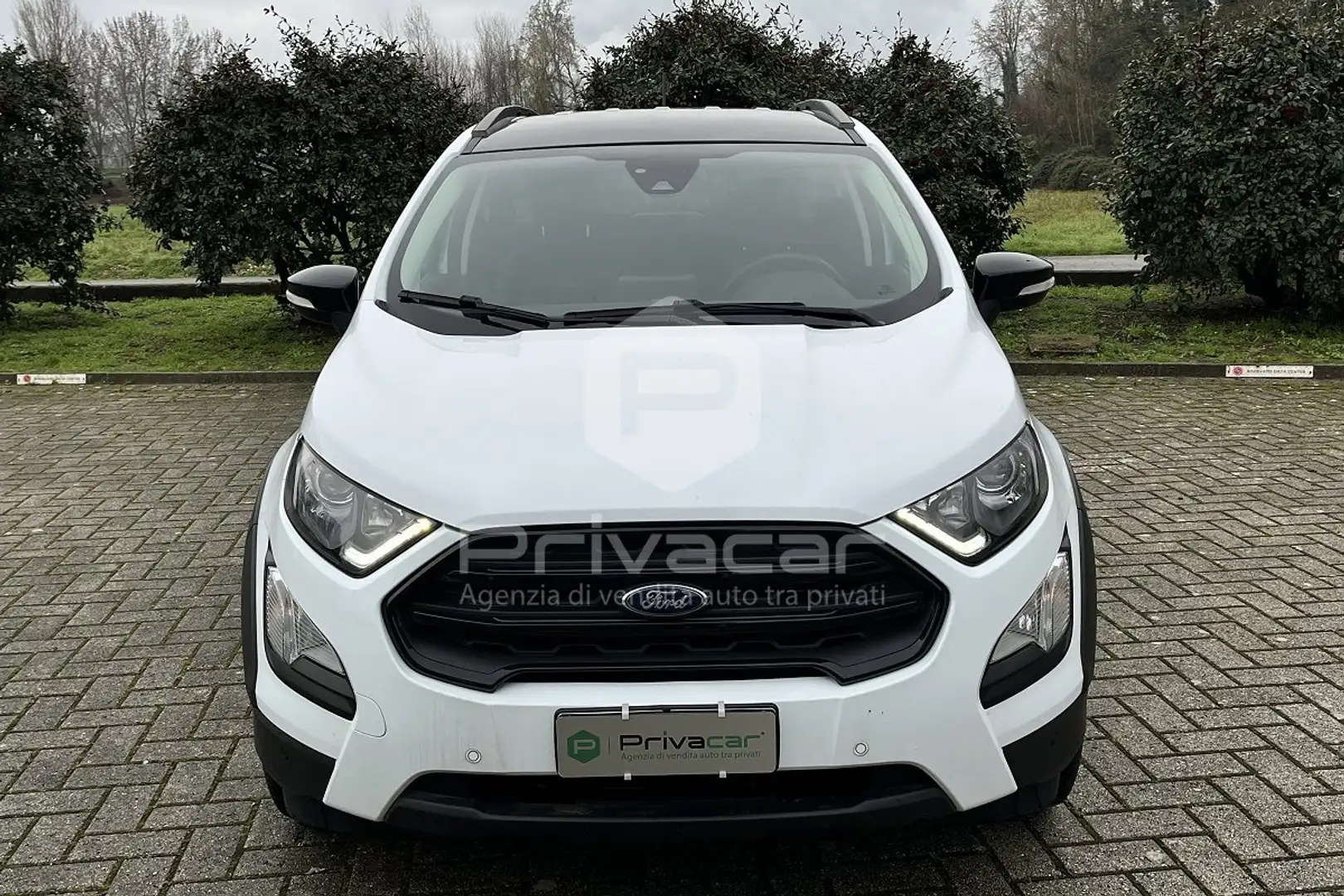 Ford EcoSport 1.0 EcoBoost 125 CV Start&Stop Active Bianco - 2