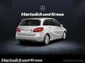 Mercedes-Benz B 180 B 180 Style+LED+Rückfahrkamera+Sitzheizung+  BC Argento - thumbnail 5