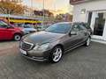 Mercedes-Benz E 300 T Elegance BlueTec Hybrid*Distronic*Panora Gris - thumbnail 3