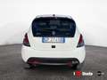 Lancia Ypsilon NUOVA My23 1.0 Firefly 70 CvStart&Stop Hybrid Gold Blanco - thumbnail 5