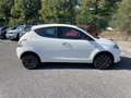 Lancia Ypsilon NUOVA My23 1.0 Firefly 70 CvStart&Stop Hybrid Gold Blanco - thumbnail 8