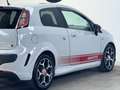 Abarth Punto EVO Punto Evo 1.4 16v t. m.air s&s 165cv UNIPRO CRONOLOGIA TAGLIANDI GRIGIO CAMPOVOLO Grau - thumbnail 25