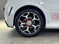Abarth Punto EVO Punto Evo 1.4 16v t. m.air s&s 165cv UNIPRO CRONOLOGIA TAGLIANDI GRIGIO CAMPOVOLO Grau - thumbnail 26