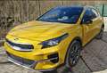 Kia XCeed More 1.6 CRDI DIESEL 115 CV Geel - thumbnail 1