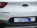 Kia Stonic 1.2 82cv GPL URBAN-EDIZIONE SPECIALE-STYLE PRONTE Blanco - thumbnail 23