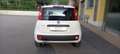 Fiat Panda CC. 1.242 Benz. 5 Porte SI Neopat. SOLO 54.750 KM. Bianco - thumbnail 5