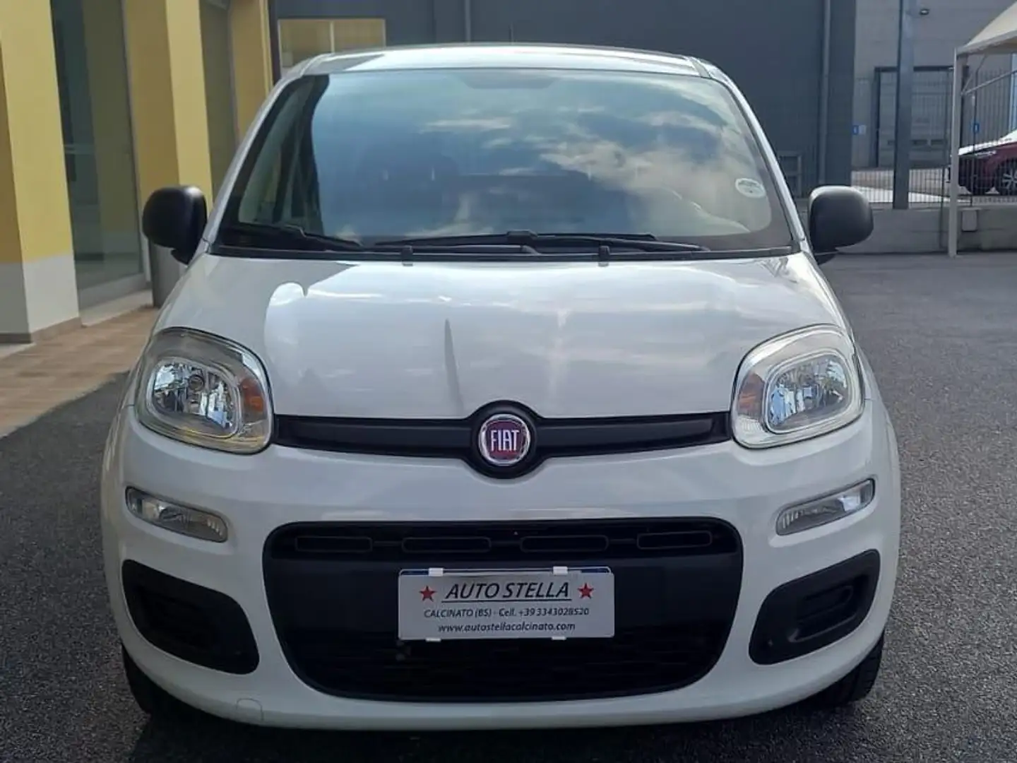 Fiat Panda CC. 1.242 Benz. 5 Porte SI Neopat. SOLO 54.750 KM. Bianco - 2