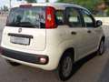 Fiat Panda CC. 1.242 Benz. 5 Porte SI Neopat. SOLO 54.750 KM. Wit - thumbnail 18