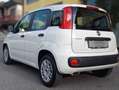 Fiat Panda CC. 1.242 Benz. 5 Porte SI Neopat. SOLO 54.750 KM. Wit - thumbnail 19