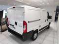 Citroen Jumper 28 BlueHDi 120 S&S PC-TN Furgone*78.000 KM Wit - thumbnail 19