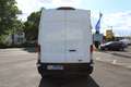 Ford Transit Trend 350 L3H3*170PS*Kamera*Navi*Express Line*PDC Blanc - thumbnail 3