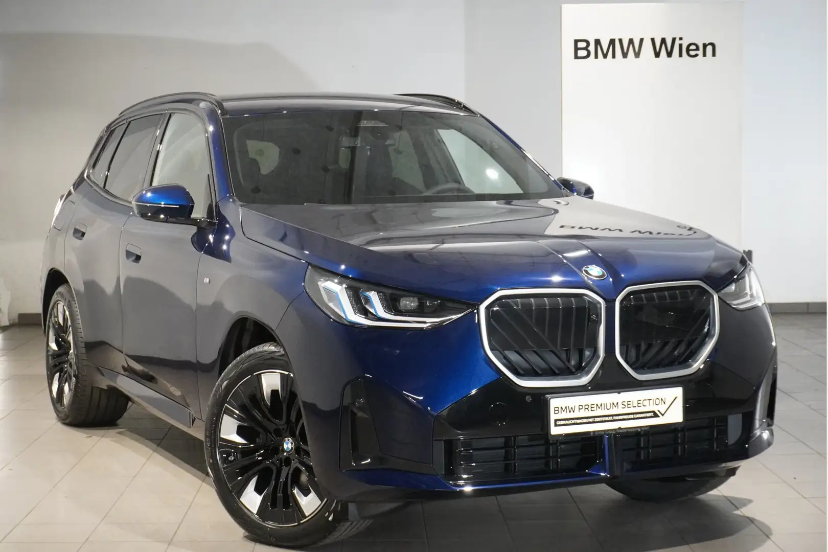 BMW X3 X3 20d xDrive Bleu - 1