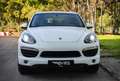 Porsche Cayenne S Hybrid Bianco - thumbnail 6